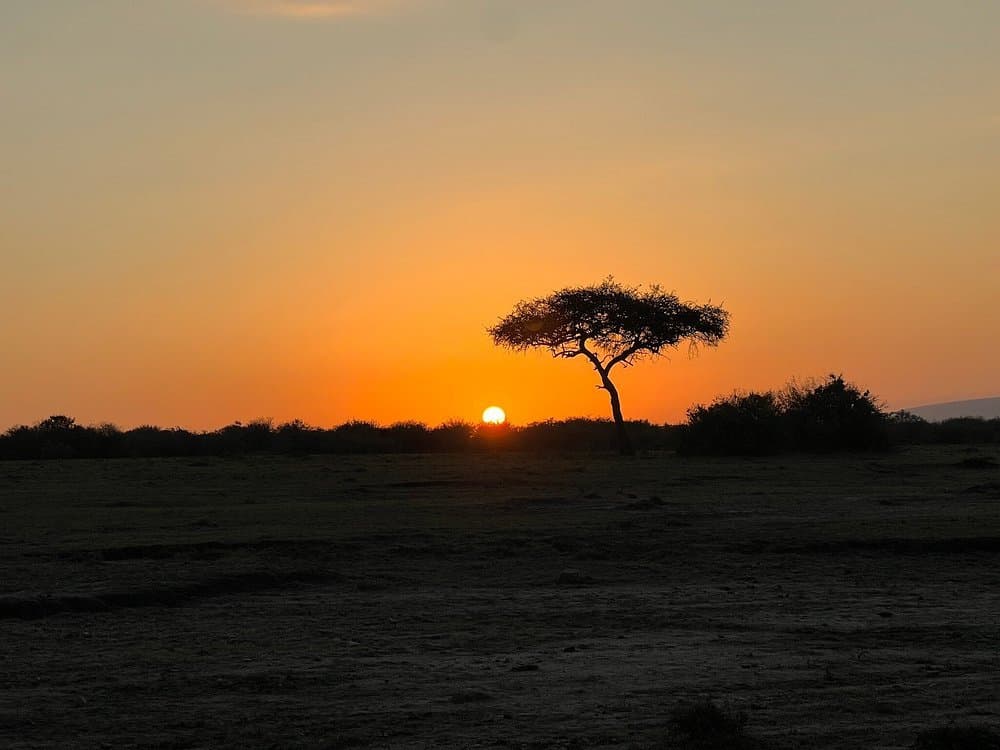 Landscape in Kenya - nature, horizon